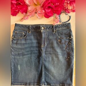 Sonoma Blue Denim Skirt